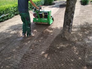 setev trave z sejalnica za setev trave